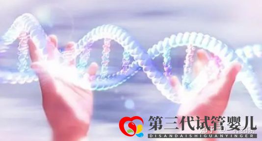 今天講解一下三代試管的基因篩查(圖1) 今天講解一下三代試管的基因篩查(圖1)
