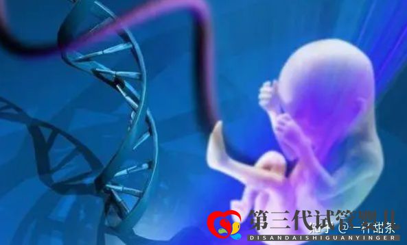 今天講解一下三代試管的基因篩查(圖3) 今天講解一下三代試管的基因篩查(圖3)
