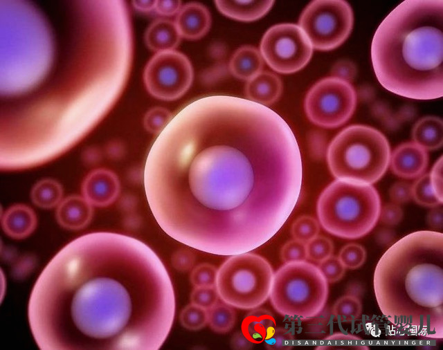 【貼心醫(yī)生】第三代試管要取多少卵子才可以成功得到一個(gè)健康的試管寶寶？(圖1)