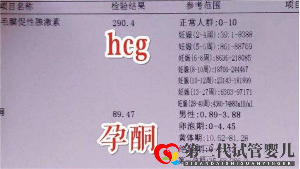 通過(guò)試管嬰兒移植后多久可以驗(yàn)孕驗(yàn)孕成功后多久可以測(cè)胎心(圖1) 通過(guò)試管嬰兒移植后多久可以驗(yàn)孕驗(yàn)孕成功后多久可以測(cè)胎心(圖1)