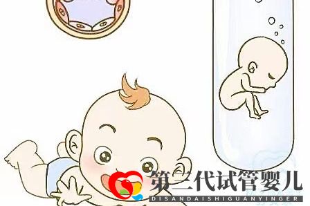 取卵多為什么可移植胚胎數(shù)不多？卵泡和試管成功率的關(guān)系(圖1)