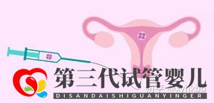 第三代試管最少要幾個囊胚才算穩(wěn)妥,多少個成功率才...(圖1)