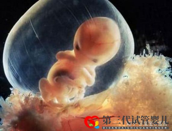 不孕夫婦獨家大揭秘第三代試管嬰兒多少錢—費用價格(圖2)