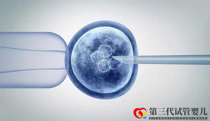 泰國第三代試管嬰兒如何避免胎兒畸形(圖2) 泰國第三代試管嬰兒如何避免胎兒畸形(圖2)