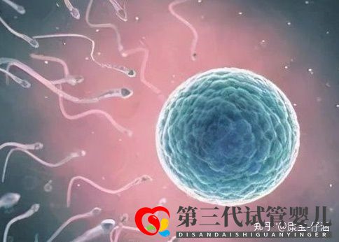 通俗易懂的一、二、三代試管嬰兒解說,及三代試管能...(圖2)