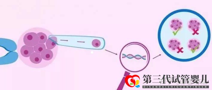 通俗易懂的一、二、三代試管嬰兒解說,及三代試管能...(圖5)