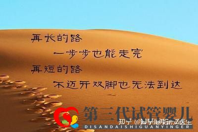 全國試管前百名醫(yī)院2021年全國三代試管嬰兒資質醫(yī)...(圖9) 全國試管前百名醫(yī)院2021年全國三代試管嬰兒資質醫(yī)...(圖9)