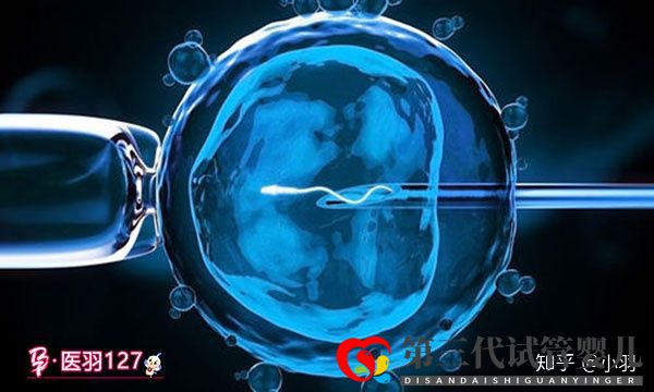 有什么辦法可以生男孩呢教你一招科學(xué)生兒子的方法(圖4) 有什么辦法可以生男孩呢教你一招科學(xué)生兒子的方法(圖4)