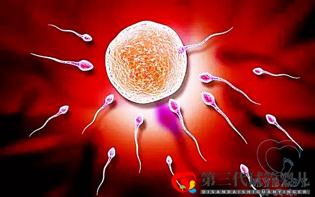 精子不動可以做試管嗎？(圖1)