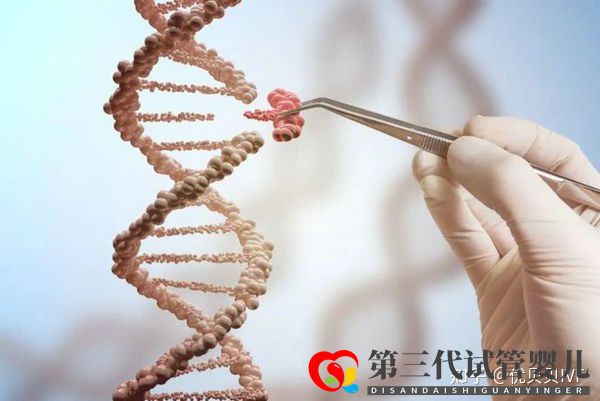 國內(nèi)的三代試管醫(yī)院都有哪些第一梯隊了解下(圖6) 國內(nèi)的三代試管醫(yī)院都有哪些第一梯隊了解下(圖6)