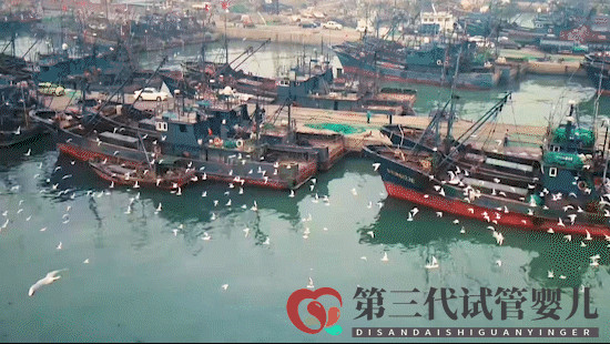 跟著王麗坤去打卡！日照這些地方火遍全國(guó)了！你去過哪個(gè)？(圖3)