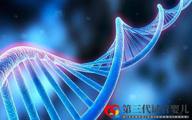 為什么父母染色體正常，胚胎染色體卻有問題？(圖2)