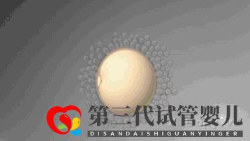 第三代試管嬰兒真的最好最先進嗎國內(nèi)哪里可以做(圖2)