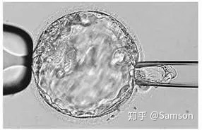 第三代試管嬰兒真的最好最先進嗎國內(nèi)哪里可以做(圖5)
