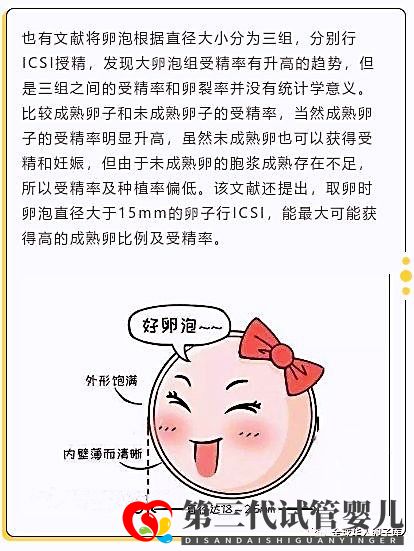 卵泡大小和試管成功率有關系嗎？大卵泡是不是越多越好？(圖3)