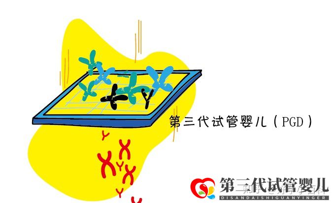 什么是三代試管嬰兒第三代試管嬰兒成功率高(圖7) 什么是三代試管嬰兒第三代試管嬰兒成功率高(圖7)