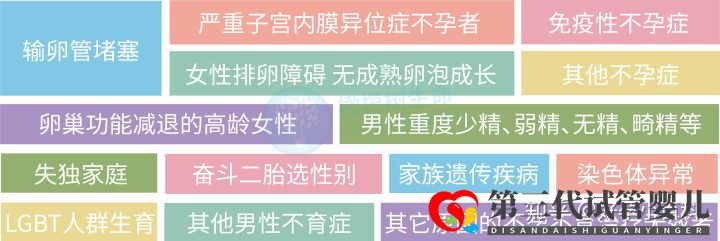 什么是三代試管嬰兒第三代試管嬰兒成功率高(圖10) 什么是三代試管嬰兒第三代試管嬰兒成功率高(圖10)
