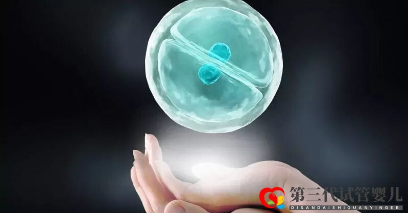試管嬰兒凍胚移植和鮮胚移植的區(qū)別三代試管為什么要凍胚(圖1) 試管嬰兒凍胚移植和鮮胚移植的區(qū)別三代試管為什么要凍胚(圖1)