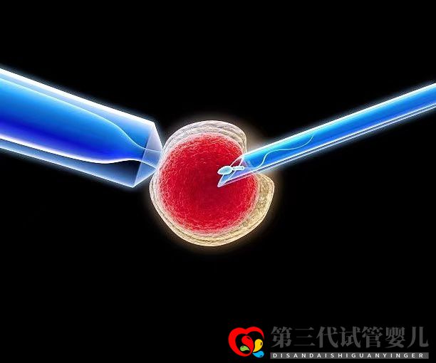 高齡女性在做三代試管時(shí)，取多少個(gè)卵子合適？(圖1)