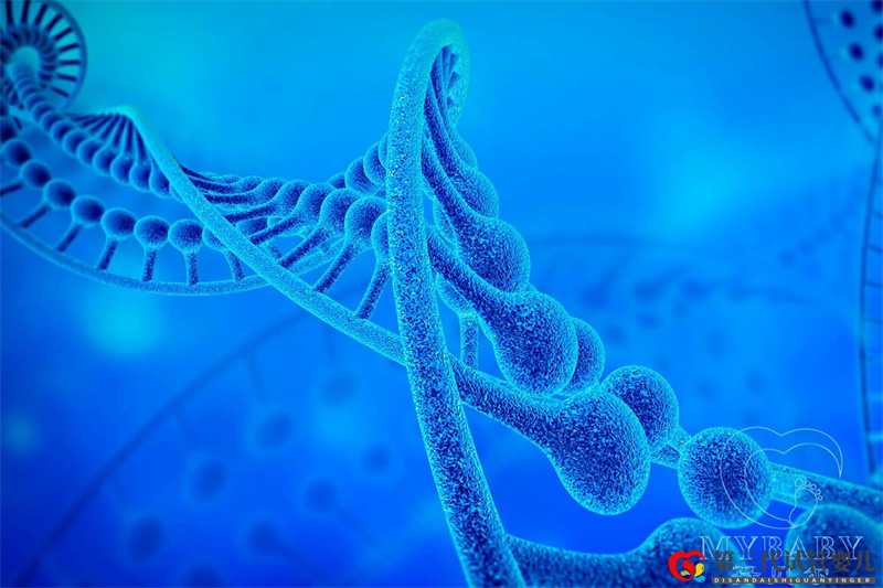 染色體異常能做試管嬰兒?jiǎn)幔吭嚬軏雰阂槿旧w嗎？(圖1)