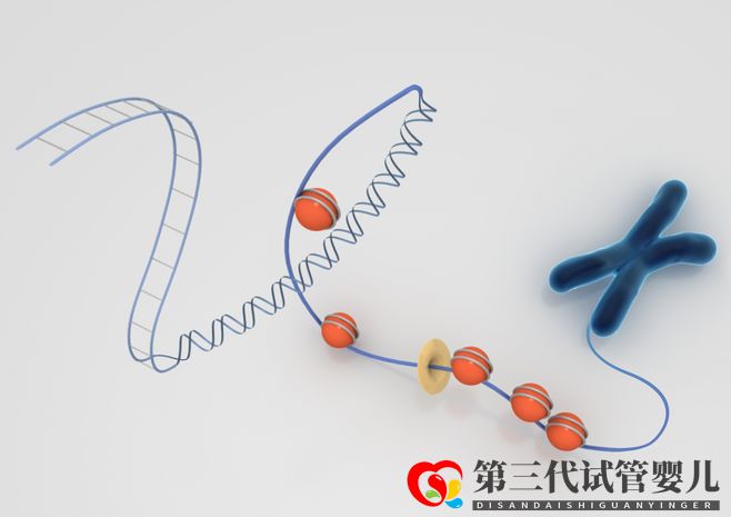 染色體異常，能通過試管嬰兒要孩子嗎(圖1)