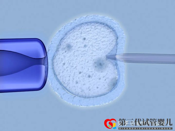 試管嬰兒1代、2代、3代、4代哪個(gè)最好真實(shí)操作過...(圖11)