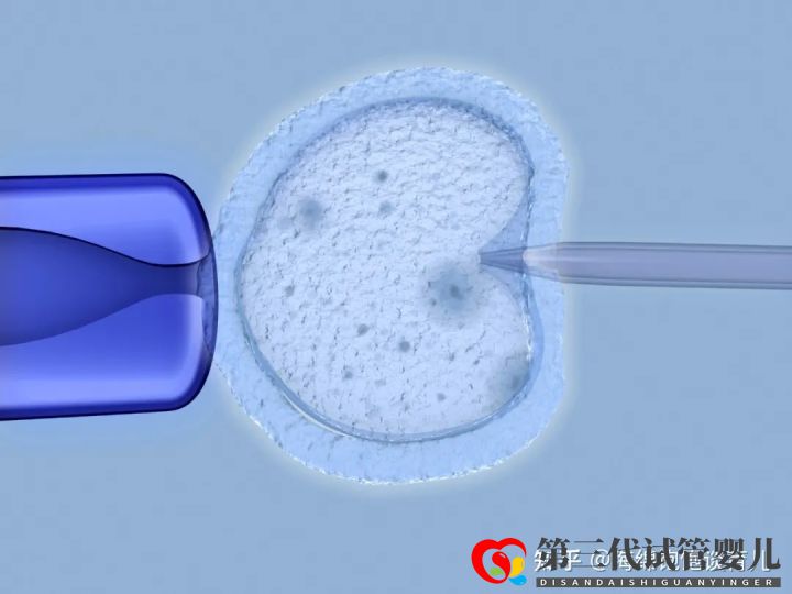 試管嬰兒1代、2代、3代、4代哪個(gè)最好真實(shí)操作過...(圖12)