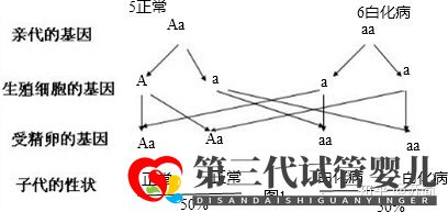 泰國(guó)三代試管PGD技術(shù)能解決白化病的遺傳問(wèn)題嗎(圖2) 泰國(guó)三代試管PGD技術(shù)能解決白化病的遺傳問(wèn)題嗎(圖2)