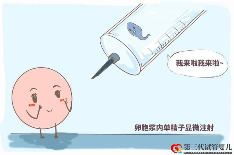 試管真的可以解決懷孕困難嗎？？試管五點誤區(qū)快看~(圖3)