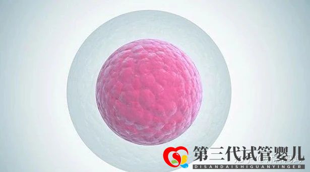 泰國做第三試管女性受罪嗎(圖2)