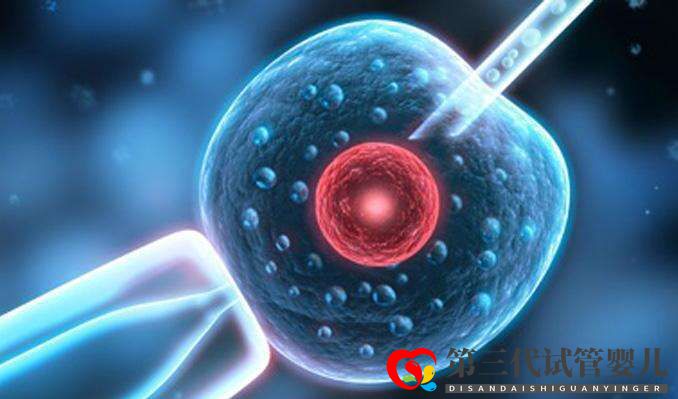 試管嬰兒取卵前后6大注意事項(xiàng)你知道多少？(圖1)