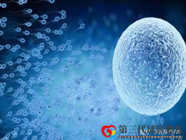 50歲絕經(jīng)做一次供卵試管移植的成功率是多少(圖4) 50歲絕經(jīng)做一次供卵試管移植的成功率是多少(圖4)