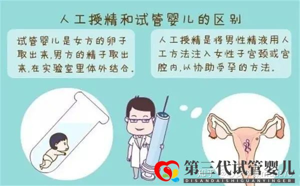 人工授精跟試管嬰兒的區(qū)別(圖1) 人工授精跟試管嬰兒的區(qū)別(圖1)