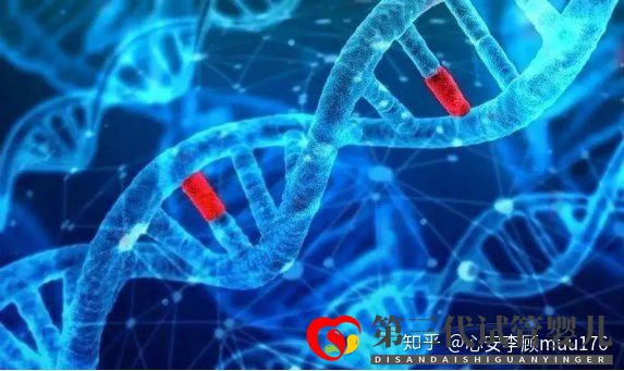 人工授精跟試管嬰兒的區(qū)別(圖13) 人工授精跟試管嬰兒的區(qū)別(圖13)