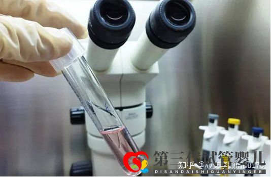 人工授精跟試管嬰兒的區(qū)別(圖17) 人工授精跟試管嬰兒的區(qū)別(圖17)