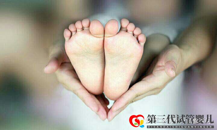 做試管嬰兒的成功率怎樣(圖1) 做試管嬰兒的成功率怎樣(圖1)