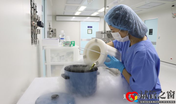 試管嬰兒全部步驟要花多少錢(圖1)