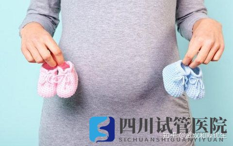 成都第三代試管技術(shù)可指定生男生女雙胞胎...但這不是你一(圖5) 成都第三代試管技術(shù)可指定生男生女雙胞胎...但這不是你一(圖5)
