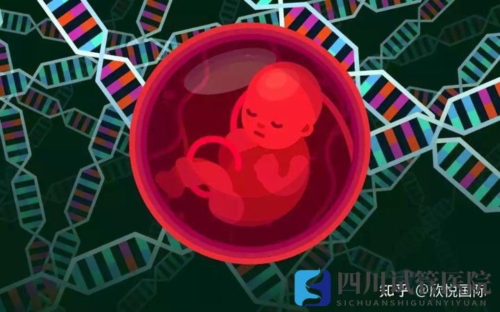 成都第三代試管嬰兒費用大概多少錢(圖2) 成都第三代試管嬰兒費用大概多少錢(圖2)