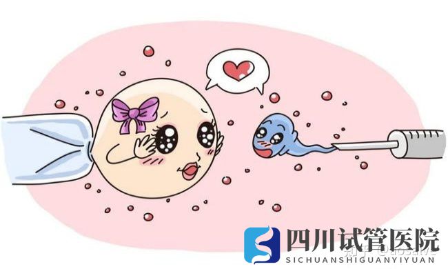 成都三代試管的經(jīng)歷(含詳細(xì)費(fèi)用)希望能幫到大家(圖1) 成都三代試管的經(jīng)歷(含詳細(xì)費(fèi)用)希望能幫到大家(圖1)