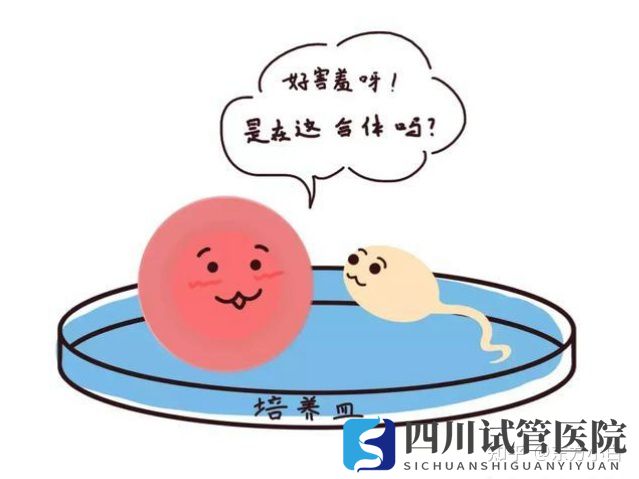 成都三代試管多少錢公立醫(yī)院和服務(wù)機構(gòu)有什么區(qū)(圖1) 成都三代試管多少錢公立醫(yī)院和服務(wù)機構(gòu)有什么區(qū)(圖1)