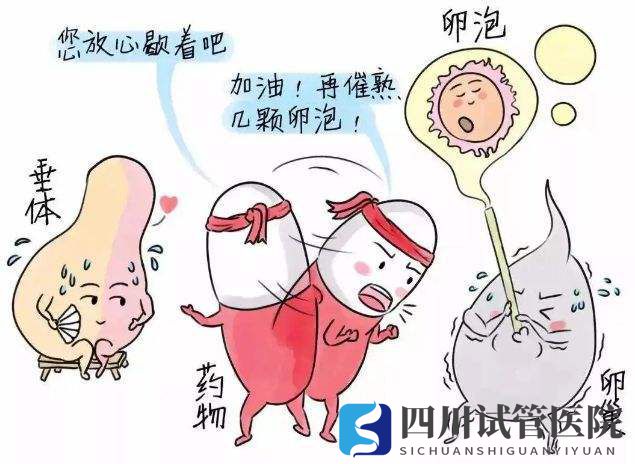 成都三代試管抗結(jié)方案流程是怎么樣的？(圖1)