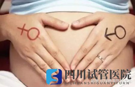 成都試管嬰兒哪家最好來(lái)看看四川的吧(圖2) 成都試管嬰兒哪家最好來(lái)看看四川的吧(圖2)