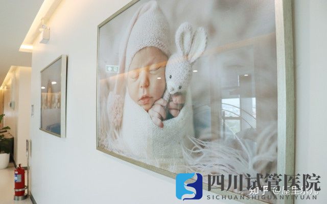 成都西囡醫(yī)院三代試管排名好嗎如何選擇試管醫(yī)院(圖4) 成都西囡醫(yī)院三代試管排名好嗎如何選擇試管醫(yī)院(圖4)