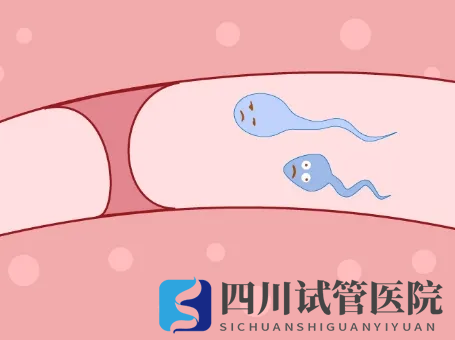 輸卵管堵塞怎么辦？做手術(shù)還是做試管嬰兒好？(圖1)