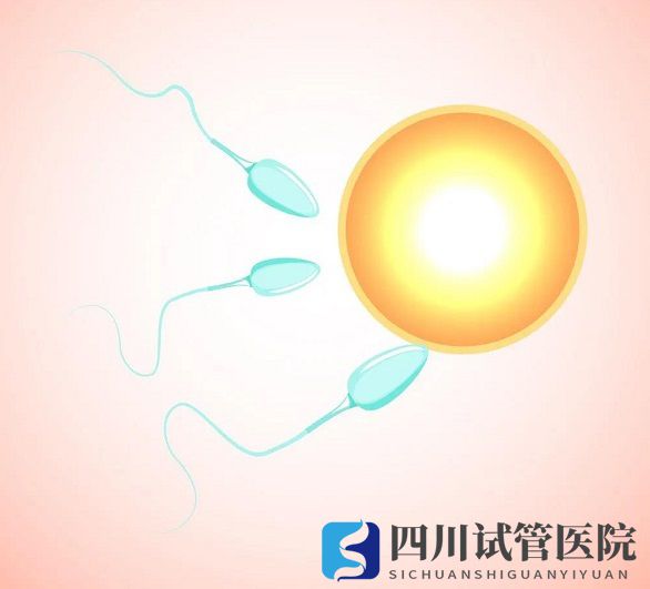 越年輕做試管嬰兒成功率就越高嗎？(圖1)