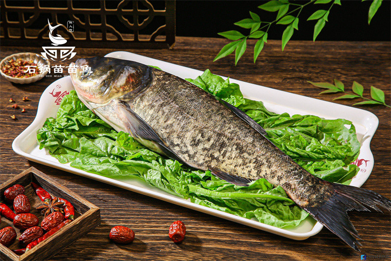 成都加盟火鍋哪家好？石鍋苗苗魚是成都火鍋的靈魂(圖1)