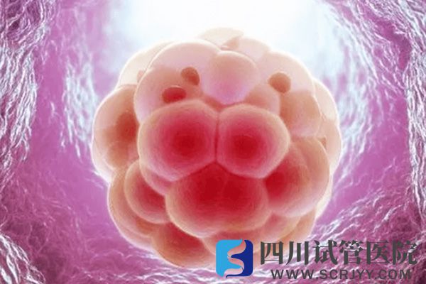 孵化后的囊胚著床時(shí)間因人而異