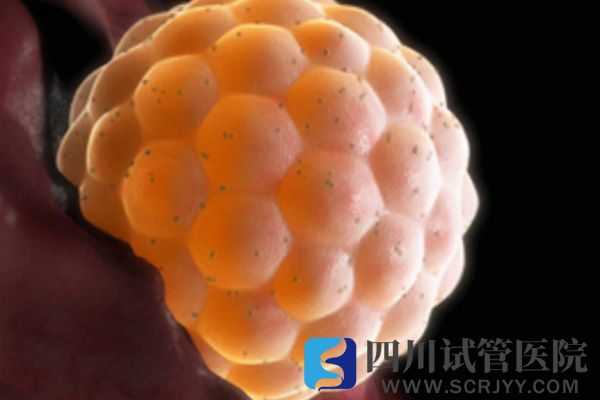 凍胚移植后著床時(shí)間因人而異