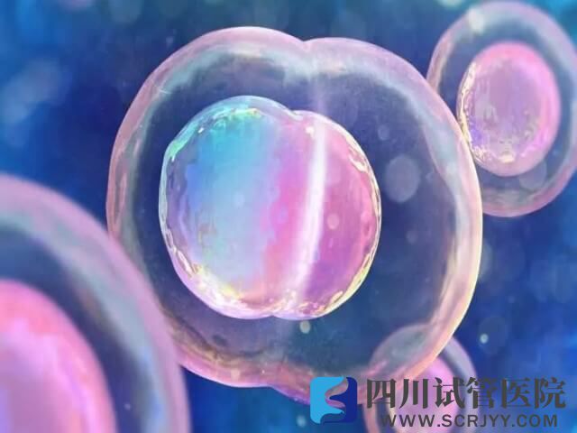 試管有剩余卵子可捐贈(zèng)卵子